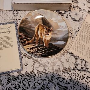 COUGAR*THE WORLDS MOST MAGNIFICANT CATS